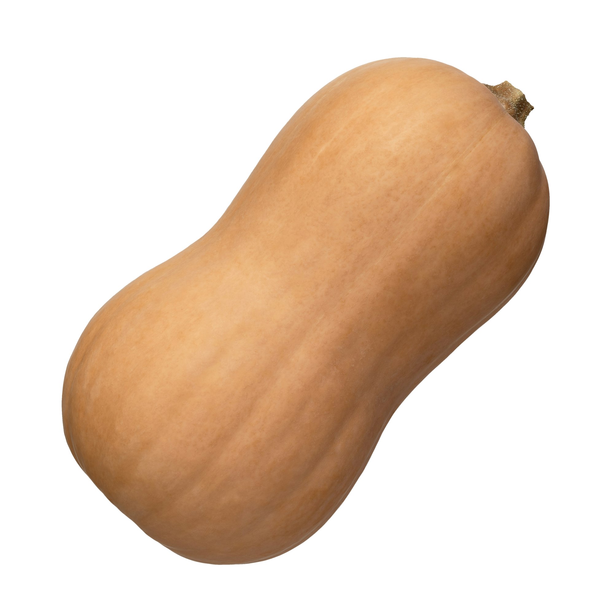 Butternut Winter Squash